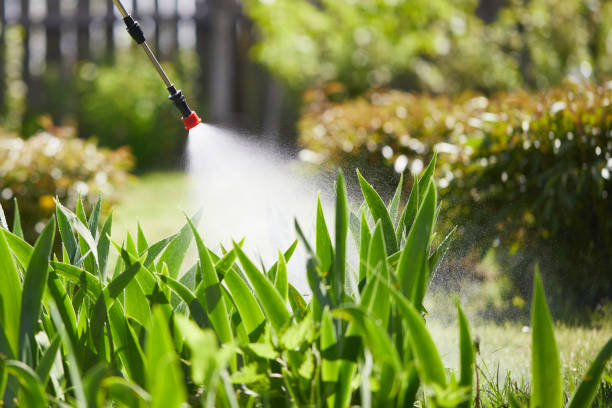24/7 Emergency Mosquito Control experts in Princeton, WV
